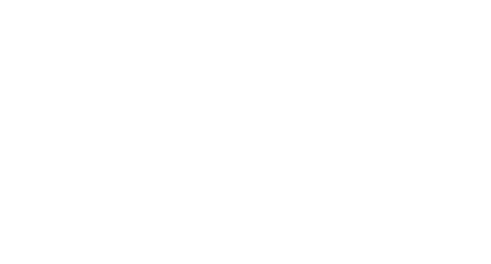 tzort logo white